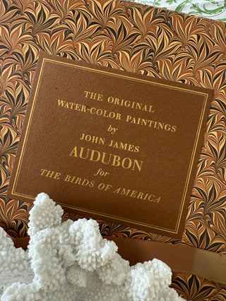 Vintage Audubon Book Set